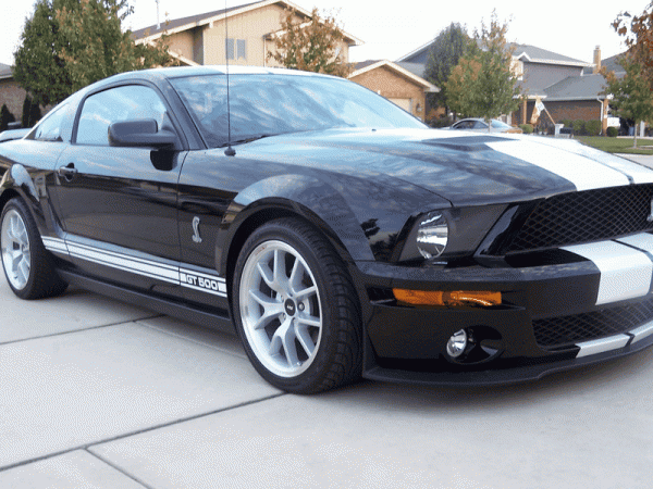 And Yet another... Shelby Gt500 conversion!-image00005.gif