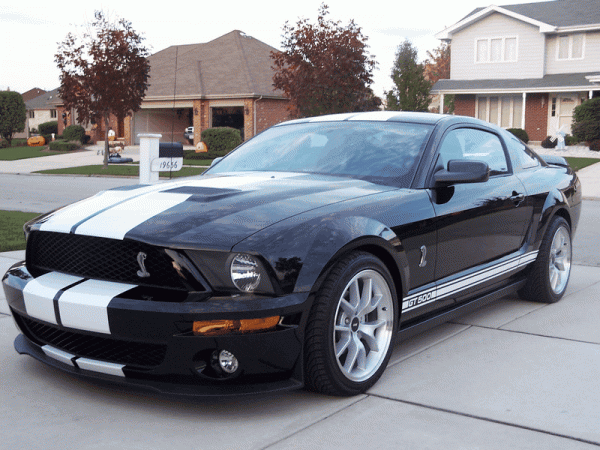 And Yet another... Shelby Gt500 conversion!-image00004.gif