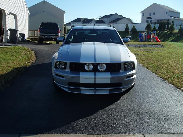 Fryguys Painted Stripes-rpa080297.jpg