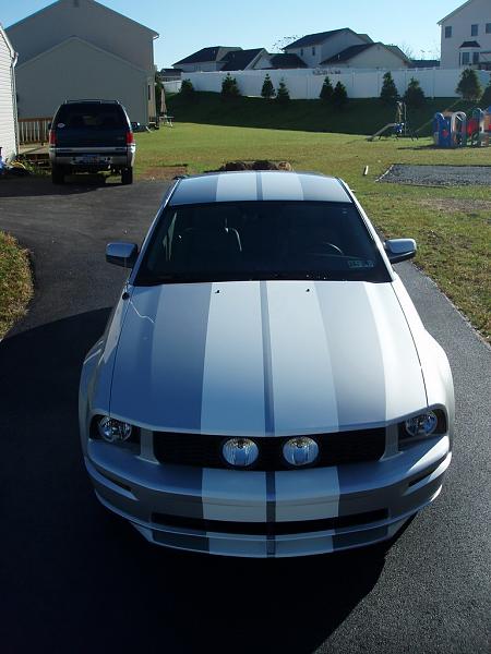 Fryguys Painted Stripes-rpa080302.jpg