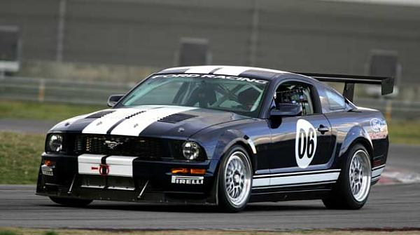 Who wants an OEM-style blank GT grille?-lat-mustang1.jpg