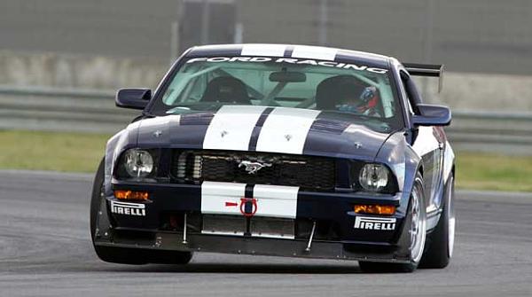 Who wants an OEM-style blank GT grille?-lat-mustang2.jpg