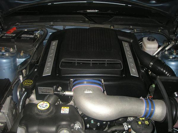 New Stripes, Wheels, Shaker, CDC Chin Spoiler and More!!!!!-shaker.jpg