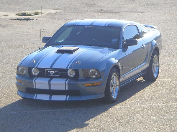 New Stripes, Wheels, Shaker, CDC Chin Spoiler and More!!!!!-mustang5.jpg
