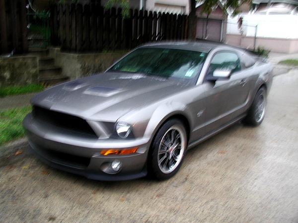 Ugh!  Another One of Those Shelby Conversions!-pa170164.jpg