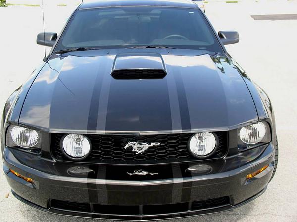 Official Stripes Thread: Photos &amp; Spreadsheet-smoke-27n-20pony-20010.jpg