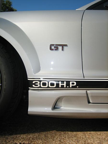 Rocker panel stripes-img_0364_1_1.jpg