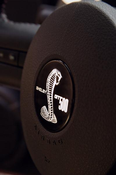 Rear Shelby Badge Emblem-443.jpg