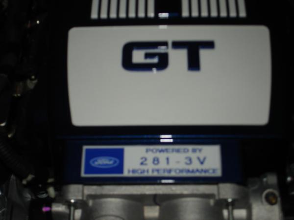 Homemade engine emblems-dsc01039.jpg