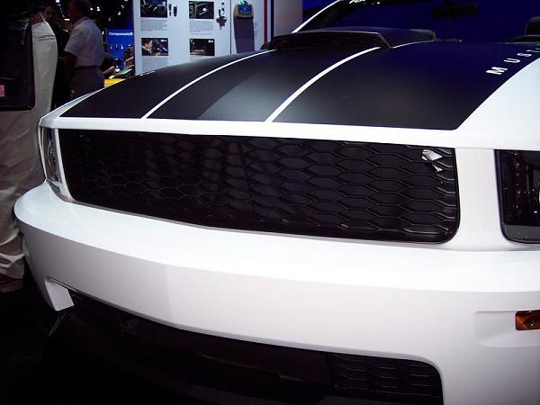 Who wants an OEM-style blank GT grille?-100_1307.jpg