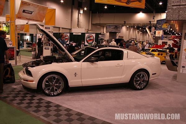 Magnum 500?-img_1325_jpg.jpg