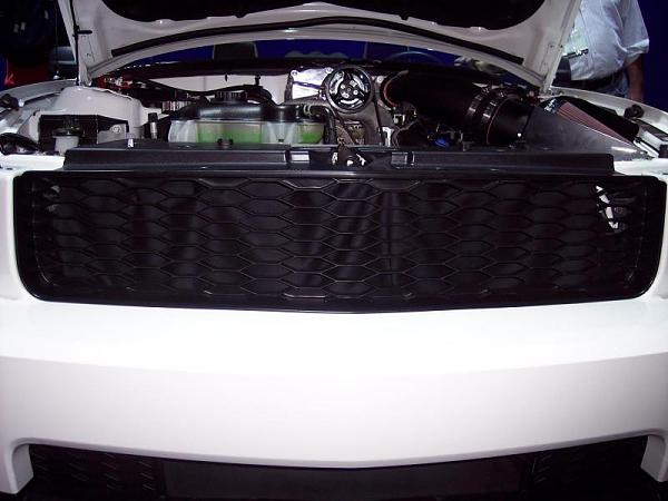 Who wants an OEM-style blank GT grille?-100_1634.jpg