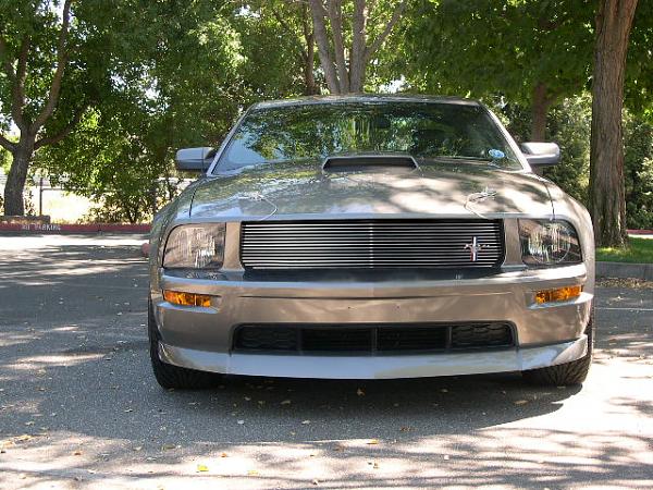 Cervini Billet Grille Question?-grayponyrequest-copy.jpg