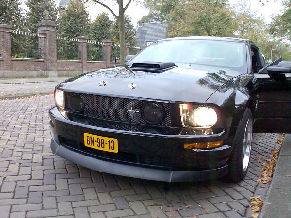 Who wants an OEM-style blank GT grille?-image003.jpg