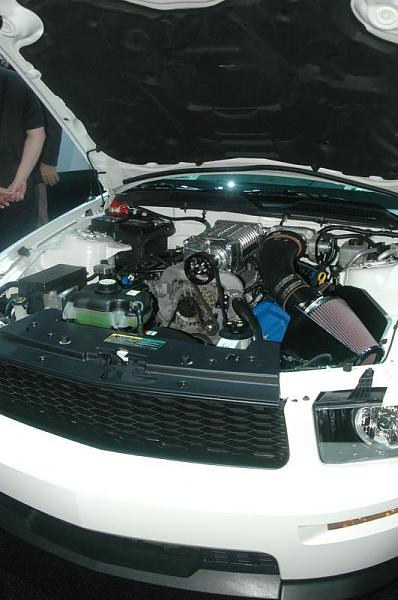 Started on my blank OEM grille (no fogs, no pony)-dsc_0262.jpg