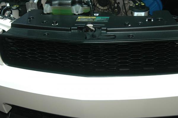 Started on my blank OEM grille (no fogs, no pony)-dsc_0263.jpg
