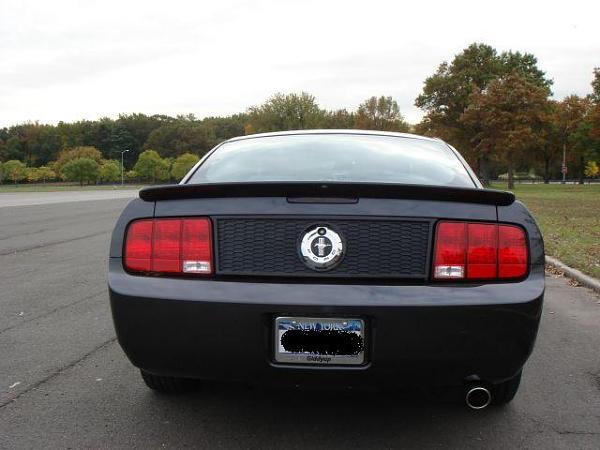 Anyone find a Inside Hood Cover and Pics-ari-mustang-038.jpg