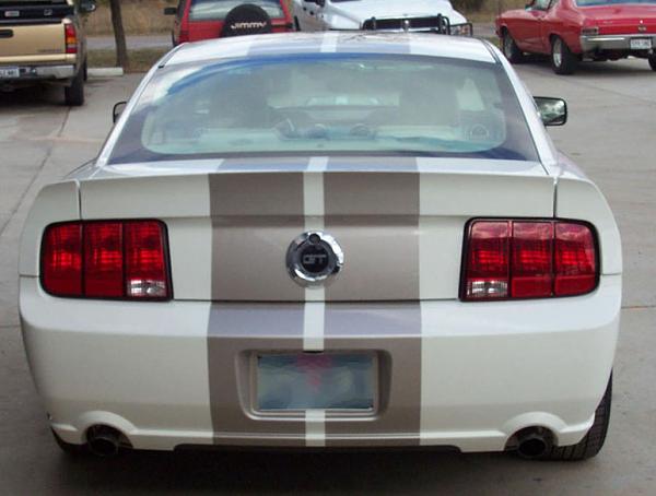 For those thinking about Racing Stripes&#33;-dcp_0488.jpg