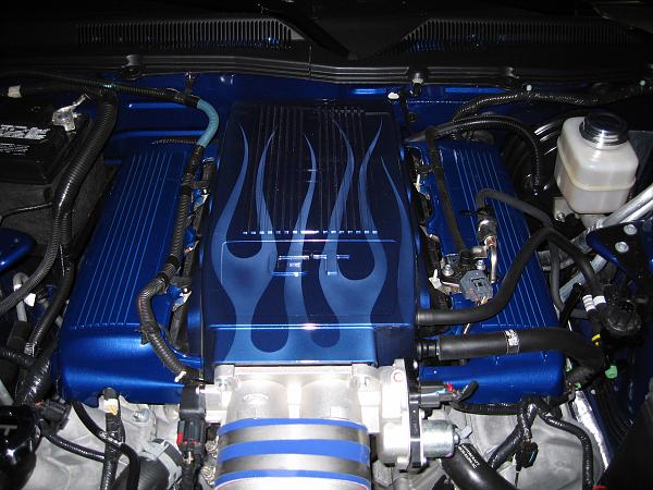 Official Fuel Rail Covers Pic Thread!!-img_04671.jpg