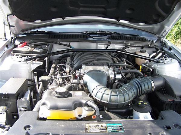 Strut Tower Nut Cap Set-bars-009-medium-.jpg