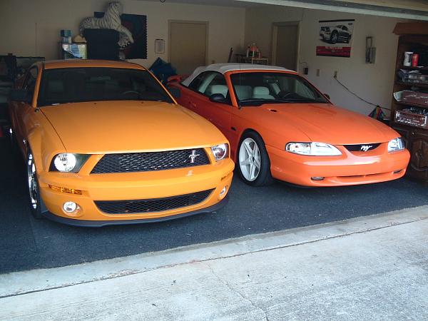 GT 500 Fascia Grille Emblems - Snake or Pony?-grabber-orange-gt500.jpg