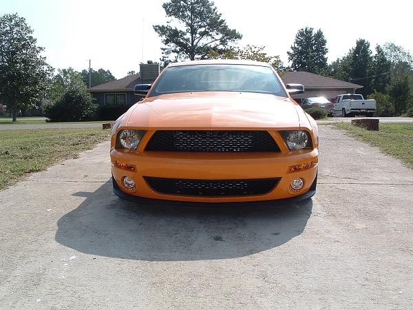 GT 500 Fascia Grille Emblems - Snake or Pony?-gt500_grabber.jpg
