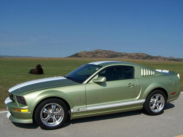 What kind of wheels are these?-1467.jpeg