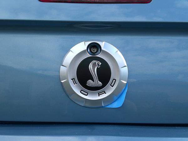 GT 500 Fascia Grille Emblems - Snake or Pony?-cimg1140.jpg