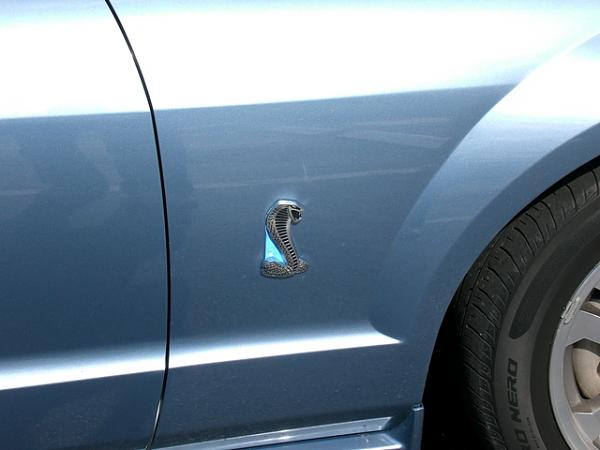 GT 500 Fascia Grille Emblems - Snake or Pony?-cimg1143.jpg