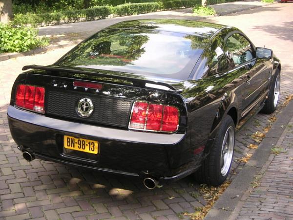 Looking for pics of Black stangs W/CDC or SHR decklid panel!!!-picture-037-small.jpg