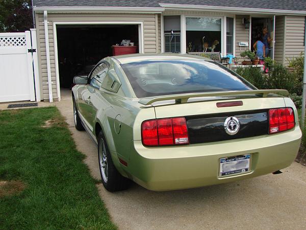 which side louvers are these???-stang004.jpg