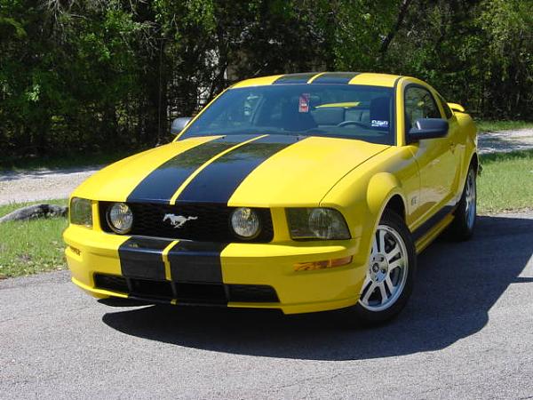 Changing Stripes?-dsc00003.jpg