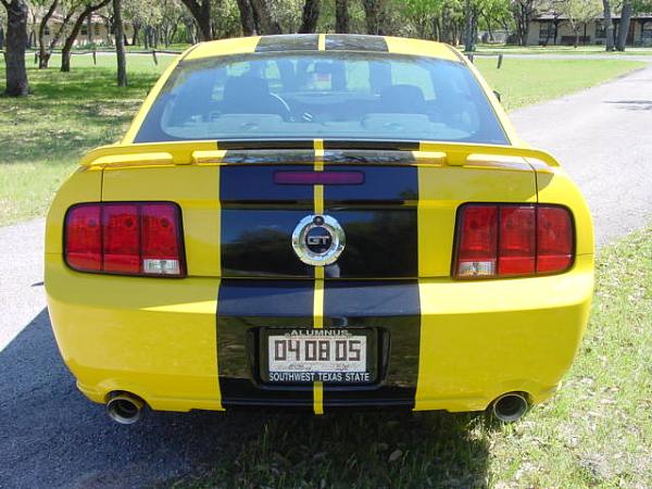 Changing Stripes?-dsc00007.jpg