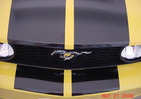 Changing Stripes?-11.jpg