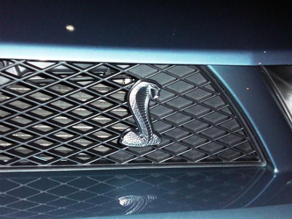 Cobra Conversion - Windveil Blue Pics-cimg1172.jpg