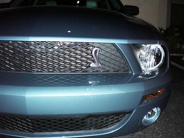 Cobra Conversion - Windveil Blue Pics-cimg1173.jpg