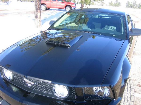 Black GT/CS w/ Matte Black Stripes-mustang-dec-3-004.jpg