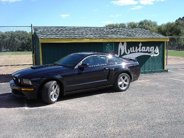 Black GT/CS w/ Matte Black Stripes-mustangs.jpg