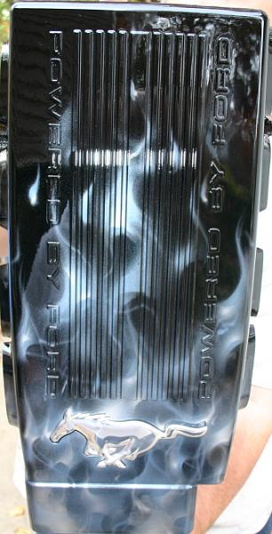 matched airbrushed plenums &amp; radiator covers-img_1421.jpg