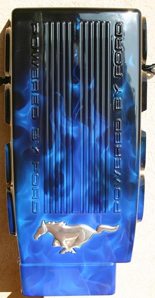 matched airbrushed plenums &amp; radiator covers-img_1454.jpg