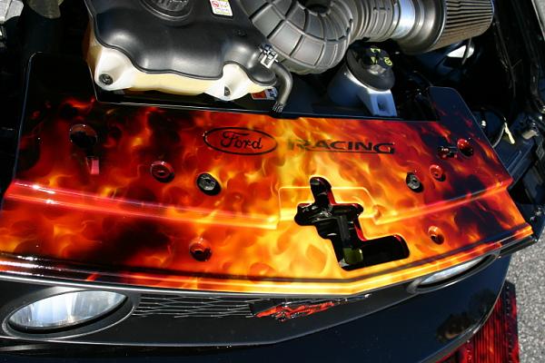 matched airbrushed plenums &amp; radiator covers-img_1594.jpg