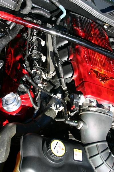 matched airbrushed plenums &amp; radiator covers-img_1582.jpg