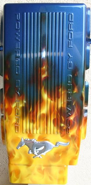 matched airbrushed plenums &amp; radiator covers-img_1608.jpg