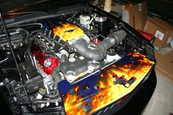 matched airbrushed plenums &amp; radiator covers-img_1610.jpg