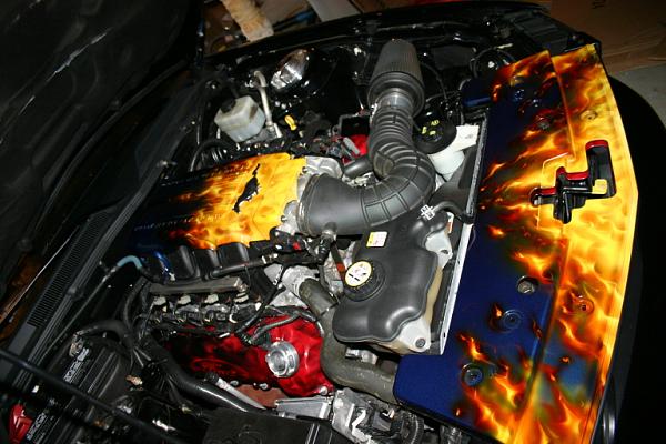 matched airbrushed plenums &amp; radiator covers-img_1611.jpg