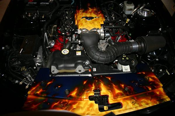 matched airbrushed plenums &amp; radiator covers-img_1612.jpg