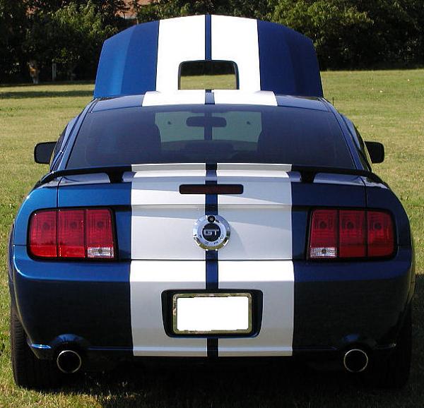 To Stripe, or not to Stripe?-shaker-done-rear-1-web.jpg