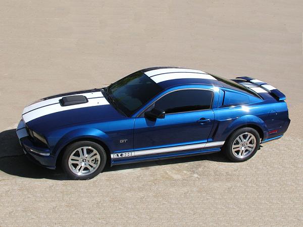 To Stripe, or not to Stripe?-09-23-06014background.jpg