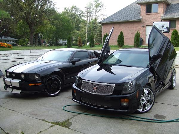 To Stripe, or not to Stripe?-stang-caddy2.jpg