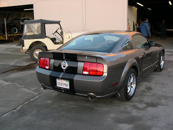 GRAYPNY Got Painted-stripes-001.jpg